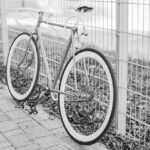 ¿Cuál es el objeto más robado del mundo?